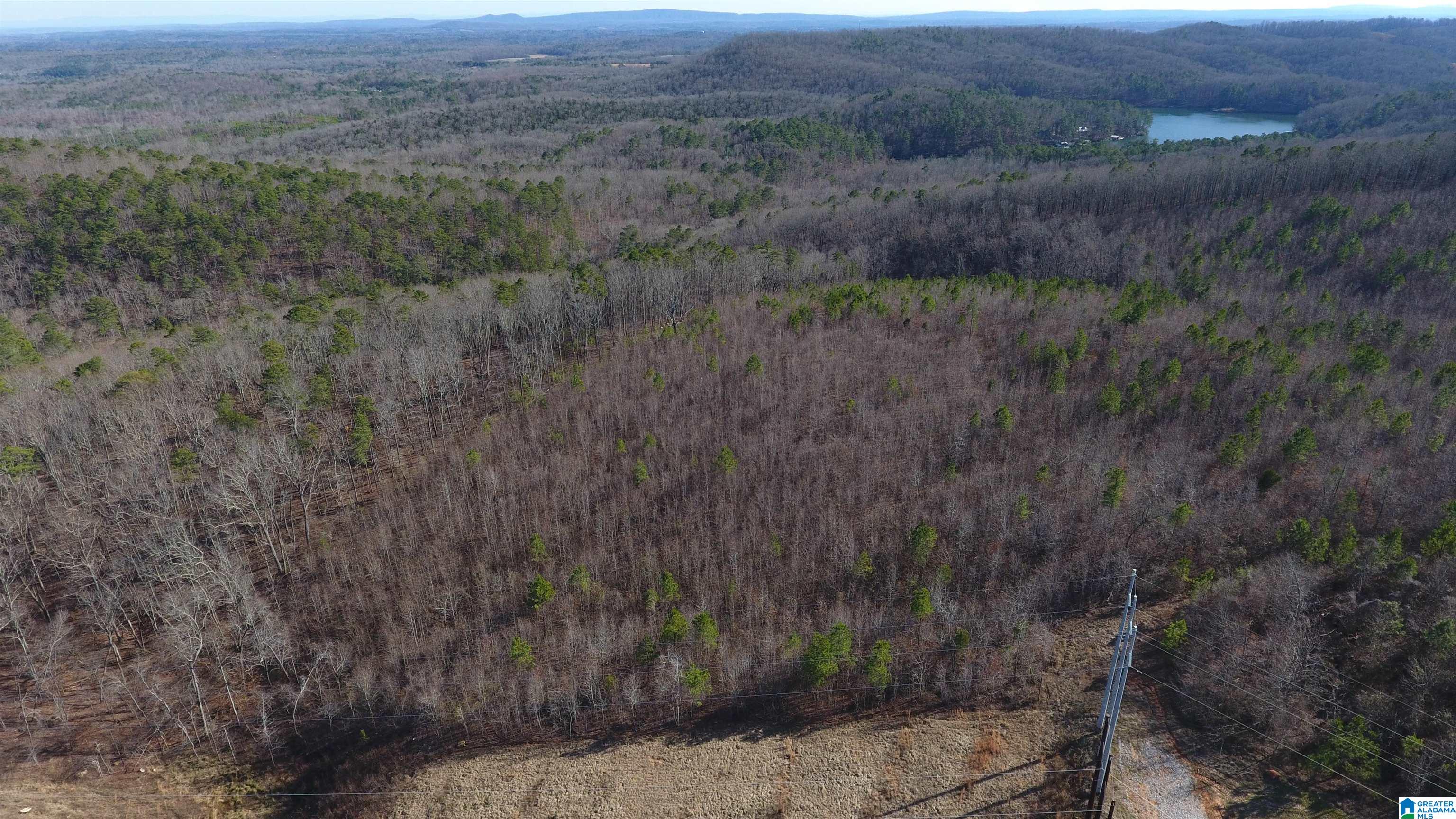 8455 Clayton Road Trussville, AL 35173 - Photo 23 of 65
