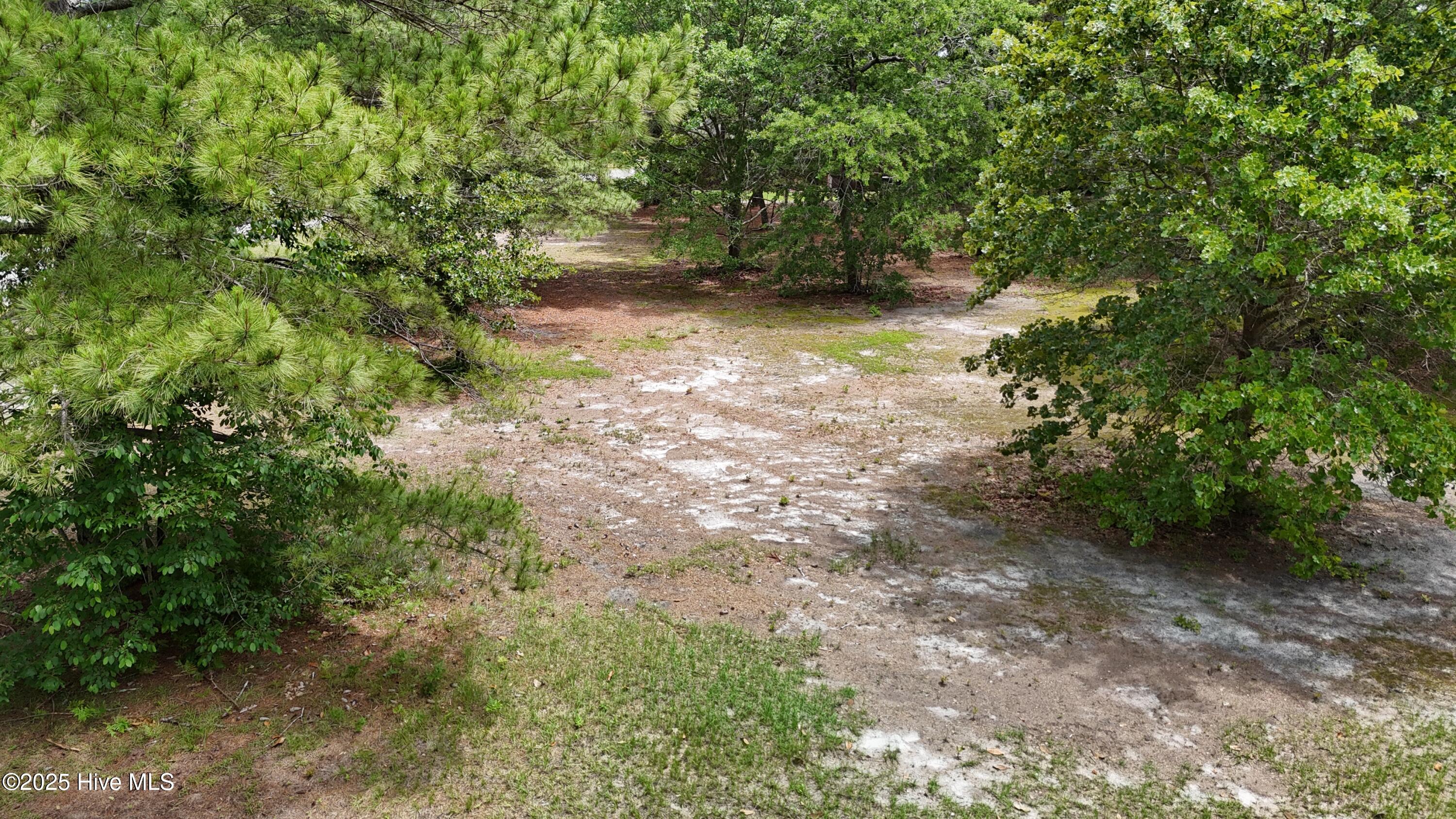 180 Cedar Point Drive Wallace, NC 28466 - Photo 3 of 4 180 Cedar Point Drive