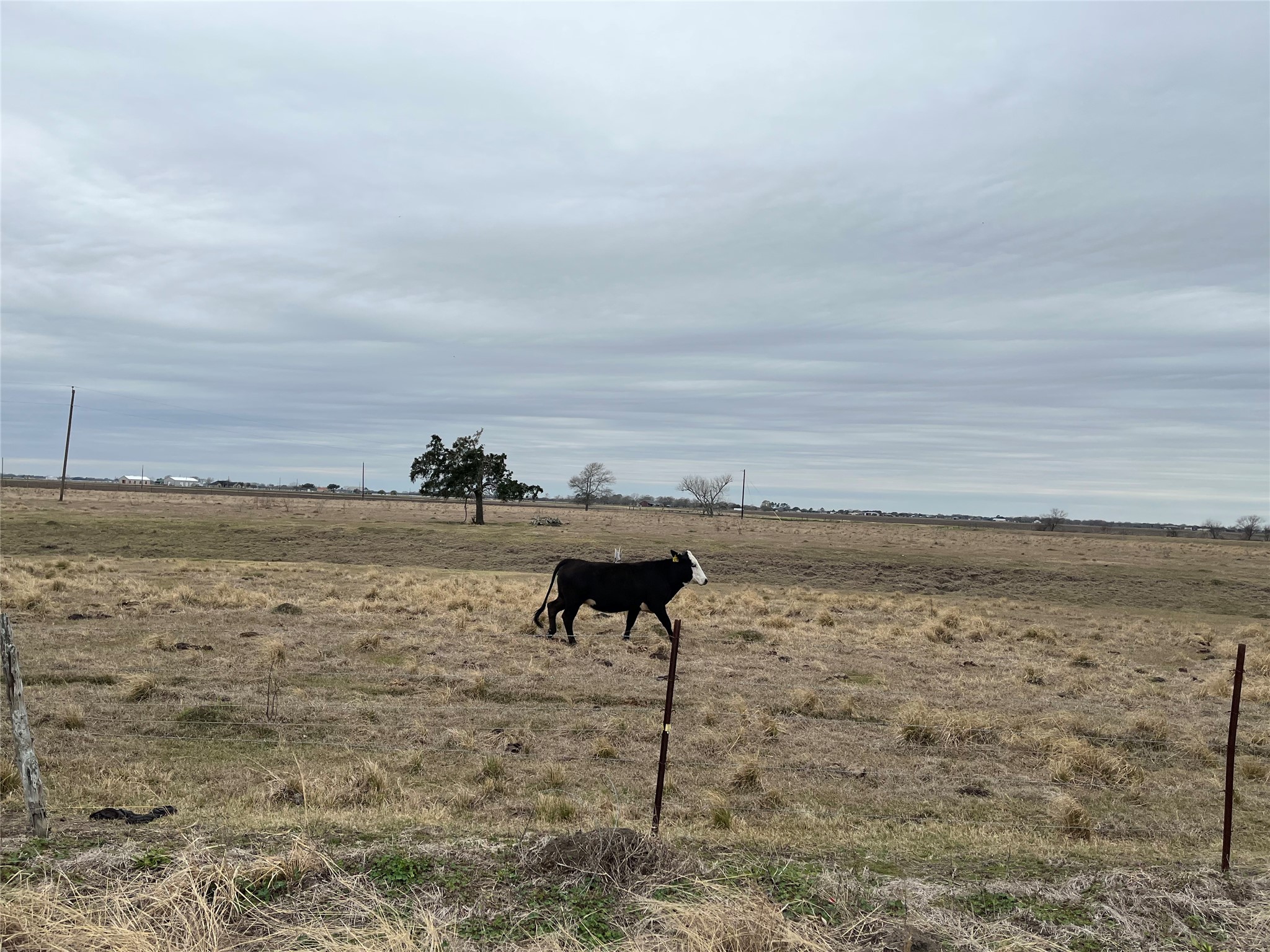 13315 Zamanek Road Needville, TX 77461 - Photo 19 of 28