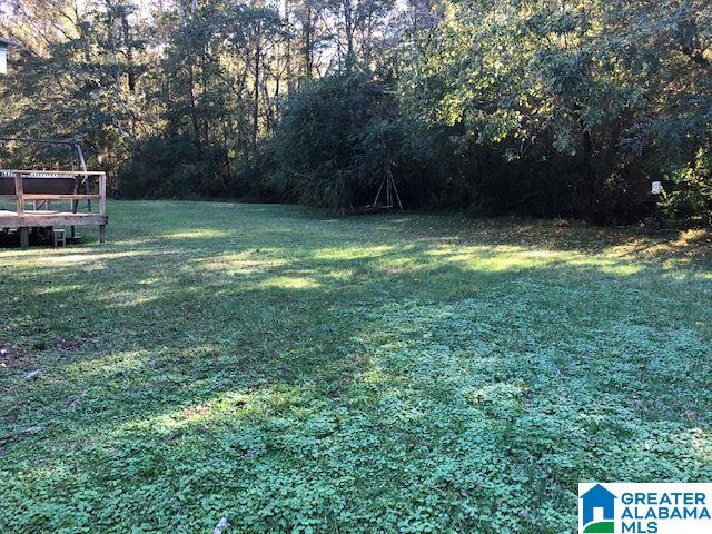 802 Old Wagon Road Pell City, AL 35125 - Photo 27 of 29