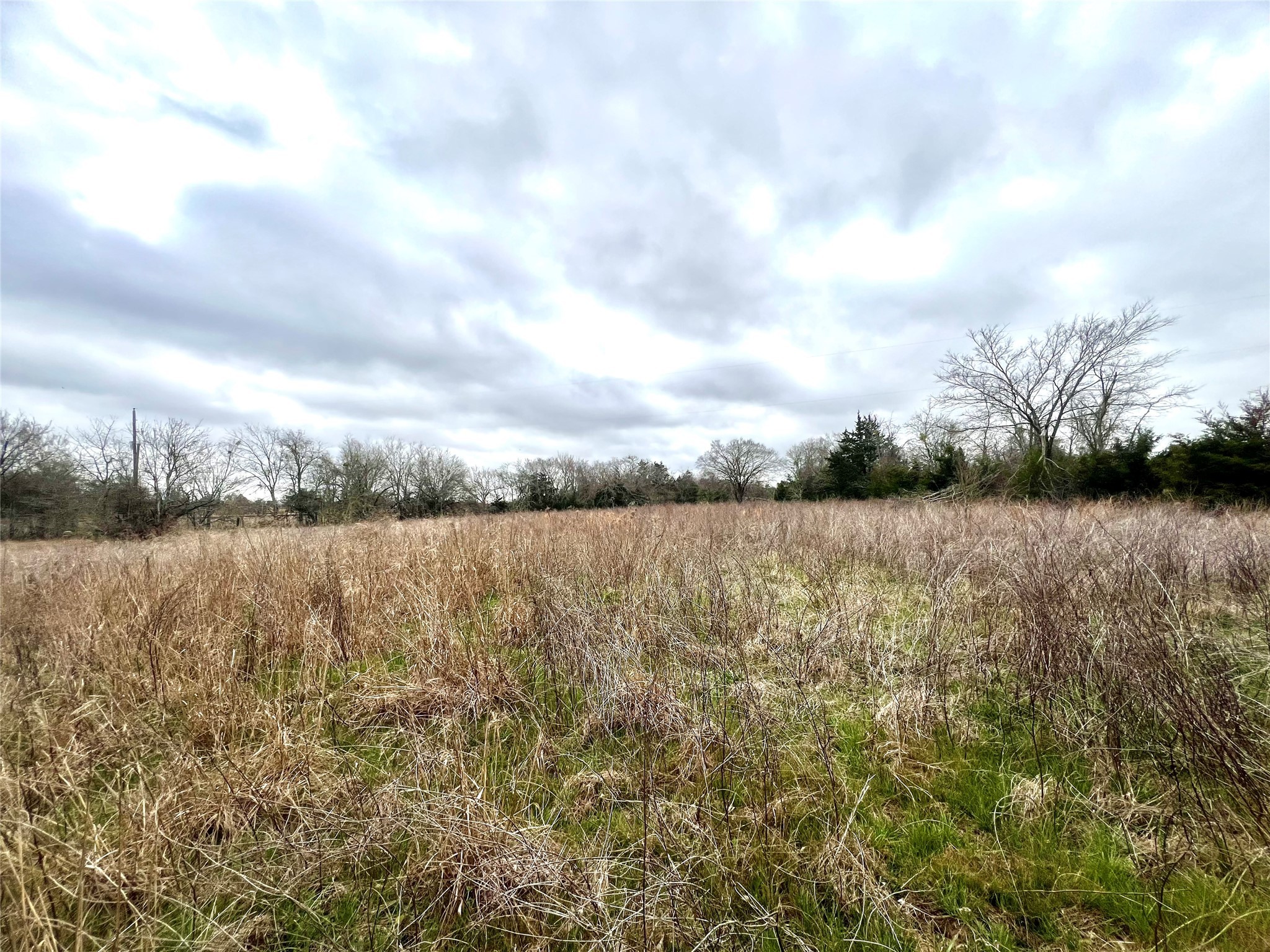 283 County Road Kosse, TX 76653 - Photo 3 of 8 a view of lake