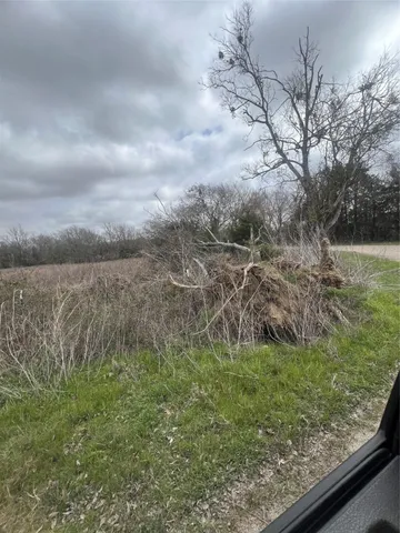 a view of a yard with wooden fence