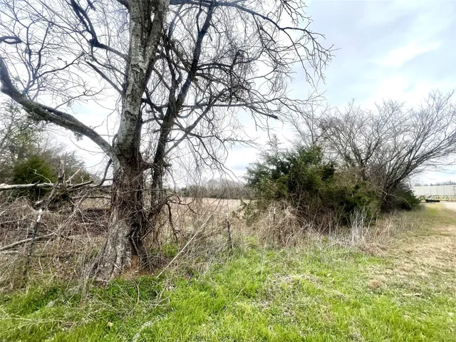 a view of a yard with a tree