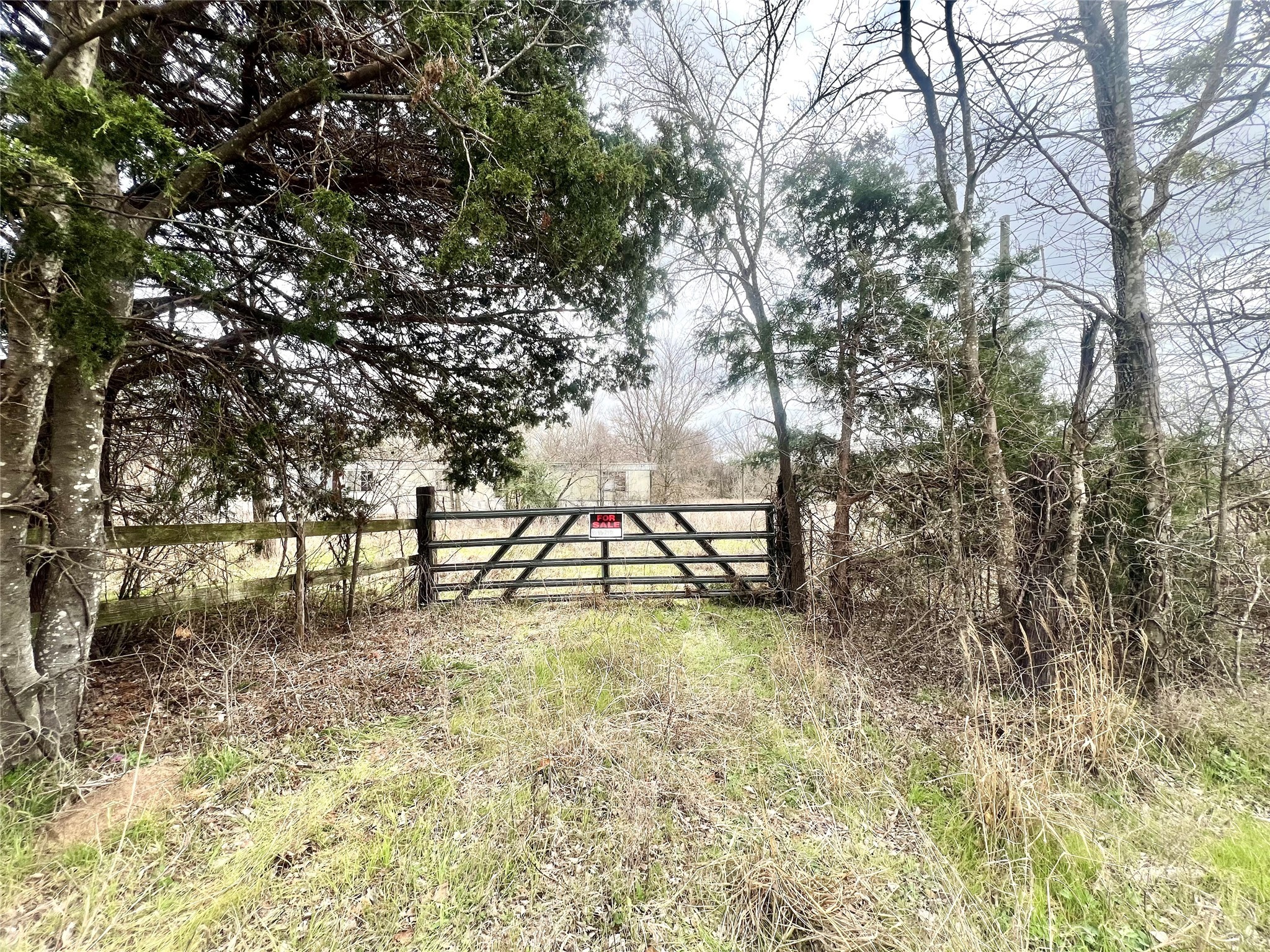 283 County Road Kosse, TX 76653 - Photo 7 of 8 a view of a yard with a tree