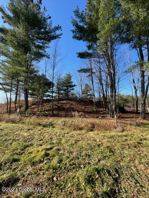 607 County Rte 12 Whitehall, NY 12887 - Photo 20 of 62 IMG_7657