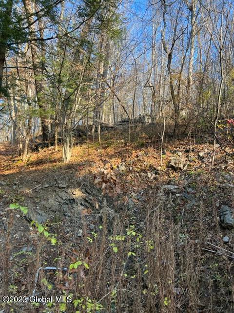 607 County Rte 12 Whitehall, NY 12887 - Photo 39 of 62 IMG_7689