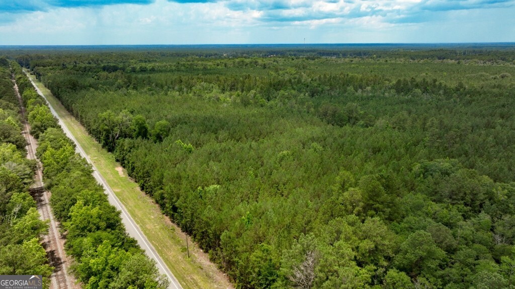 0 Highway 204 & Carlos Cowart Road Pembroke, GA 31321 - Photo 11 of 47