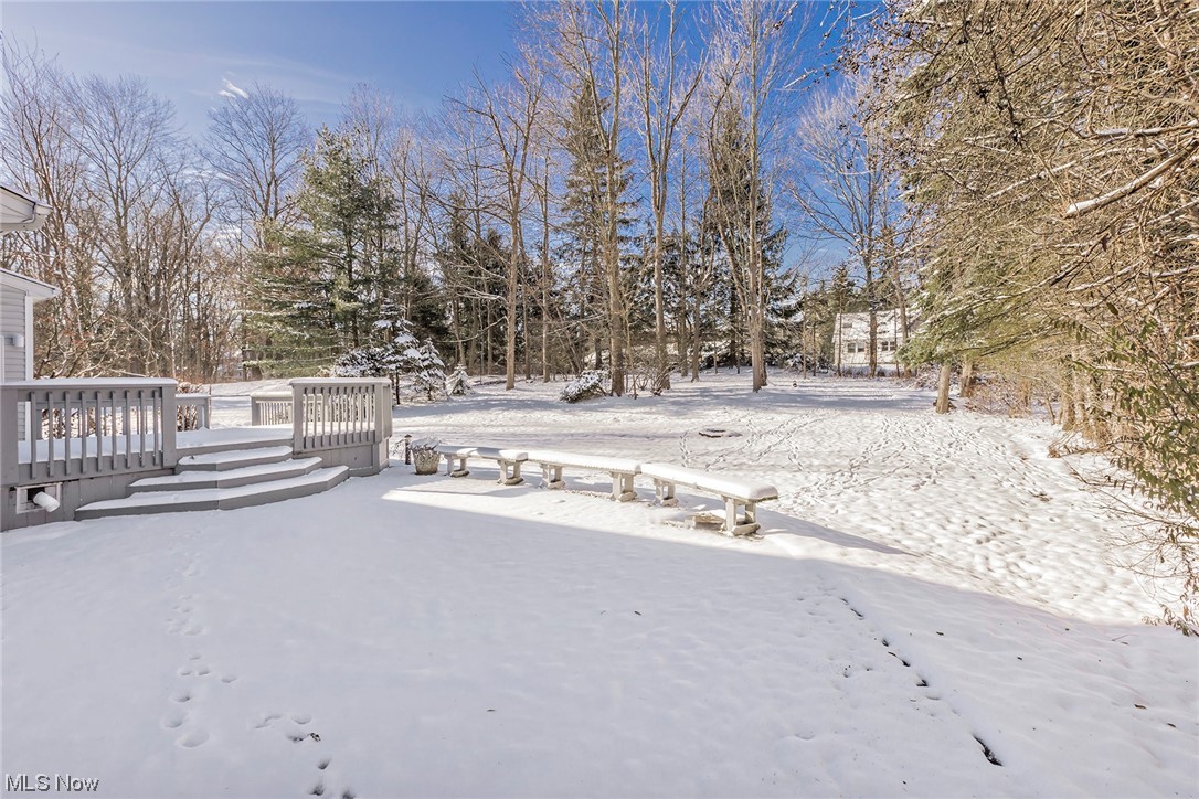3850 Ellendale Road Moreland Hills, OH 44022 - Photo 37 of 39 Snow covered patio