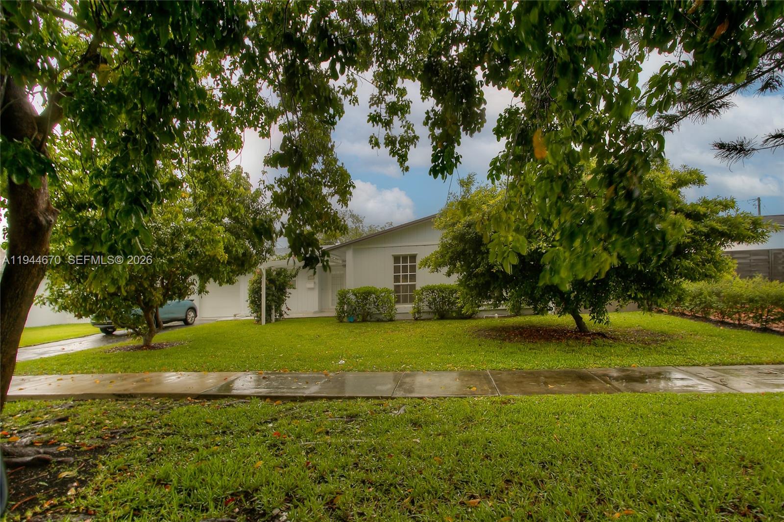 a view of a backyard with large trees