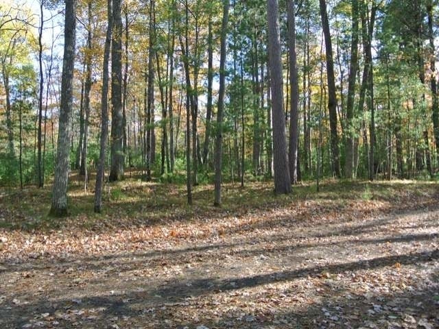 Lot 3 Streater Road Minocqua, WI 54548 - Photo 16 of 19 Gallery Image 16