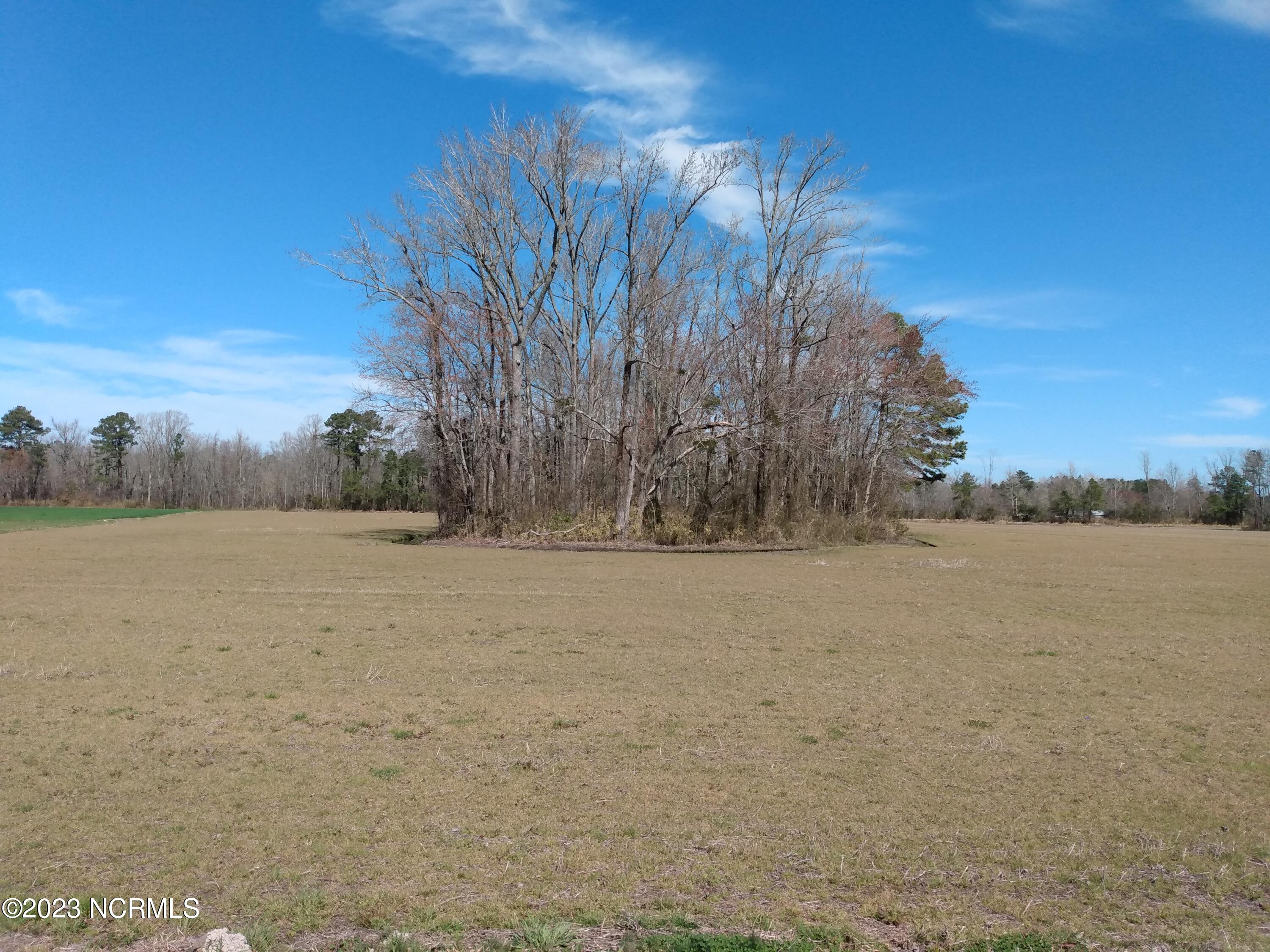 196 Cross Landing Road Columbia, NC 27925 - Photo 21 of 23 IMG_20230228_122950930