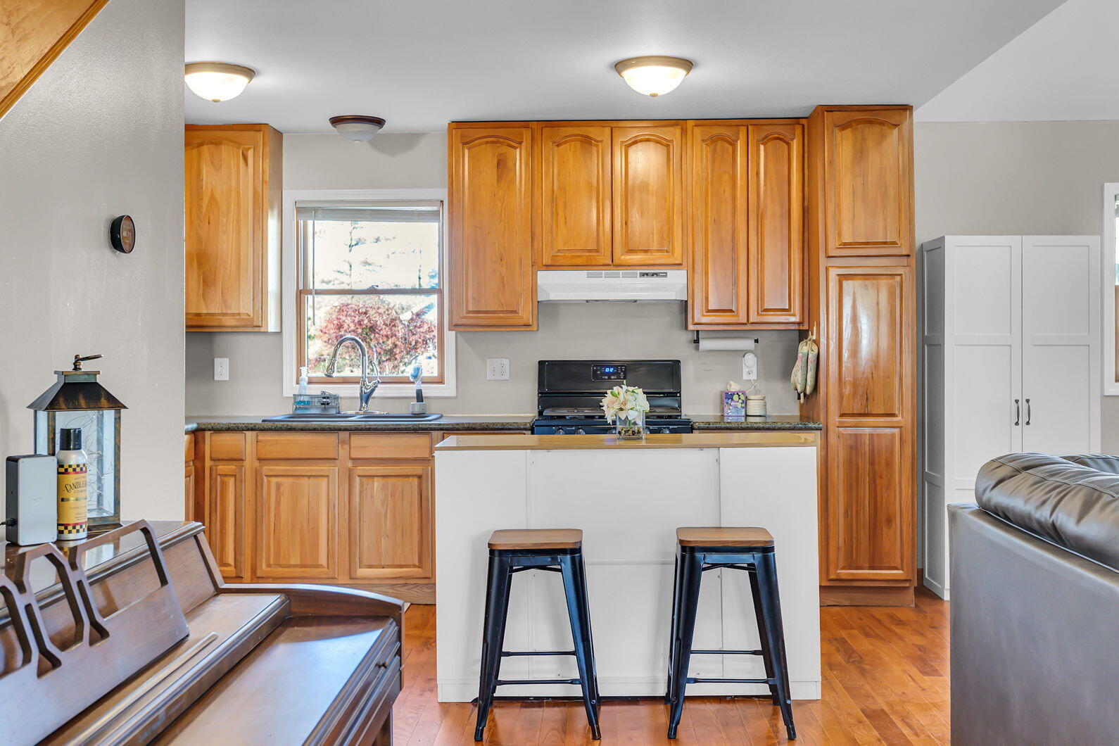 10300 Rexford Road Grass Lake, MI 49240 - Photo 15 of 61 62-web-or-mls-0N0A6089