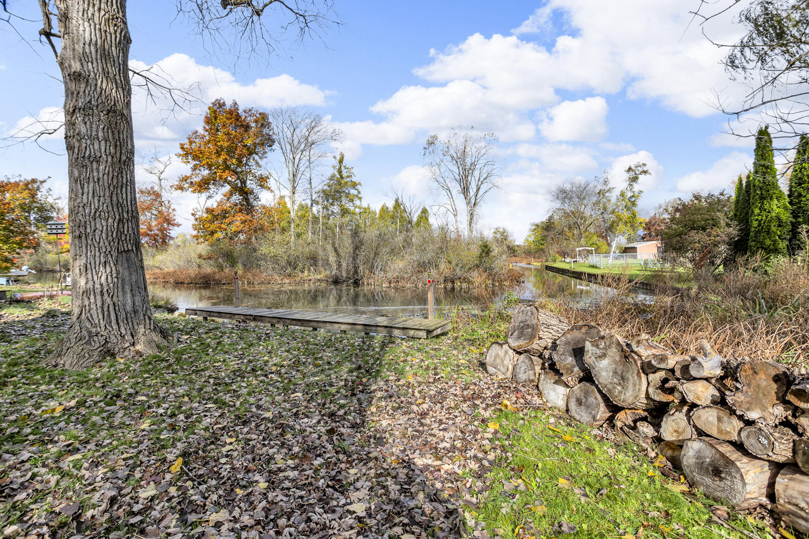 10300 Rexford Road Grass Lake, MI 49240 - Photo 51 of 61 0N0A4238