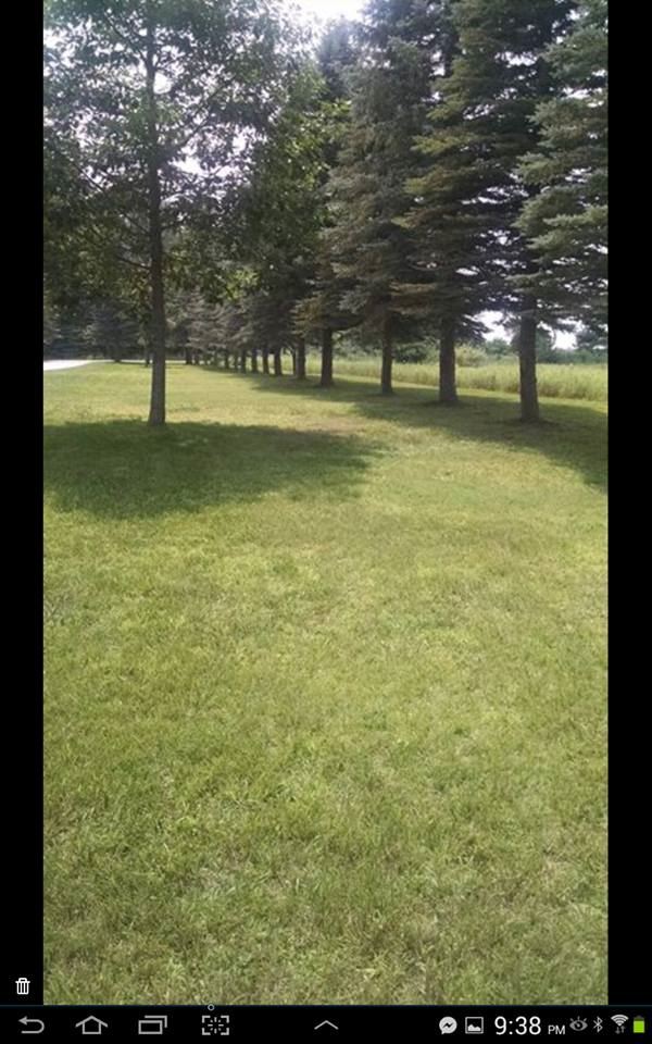 7538 West Esmond Road Hale, MI 48739 - Photo 10 of 43 1809051-9.JPG