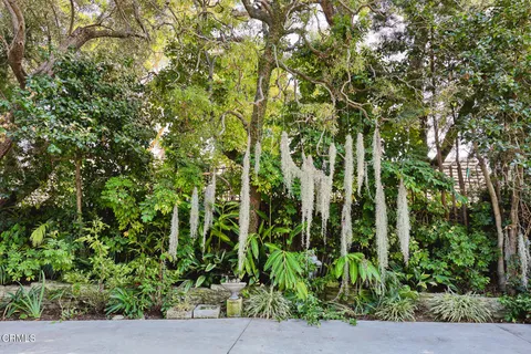 a view of a garden with plants