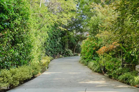 a view of a garden with plants