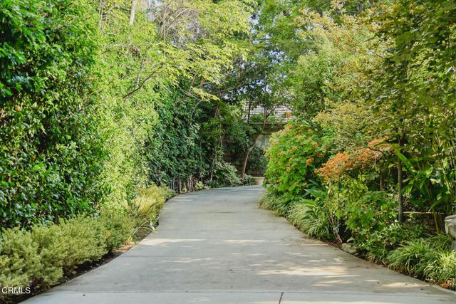 a view of a garden with plants