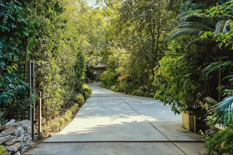 a view of a yard with plants and trees