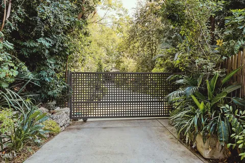 a view of a brick wall with a plant in front of it