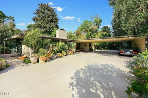 a view of a garden with plants