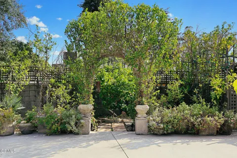 a view of a backyard