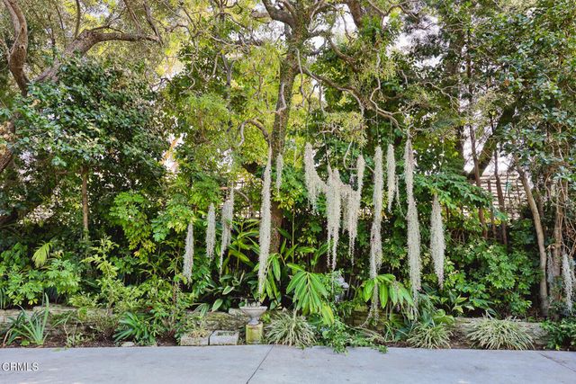 a view of a yard with plants and trees