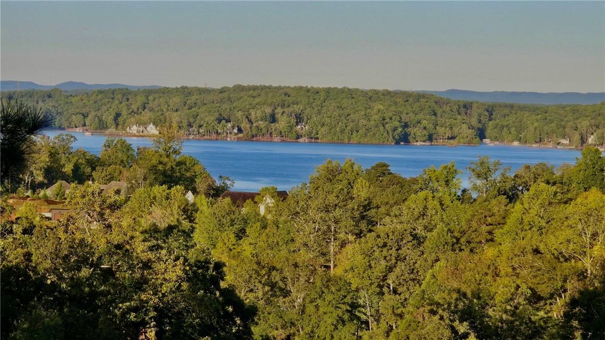 414 Sue Craig Road Six Mile, SC 29682 - Photo 50 of 50