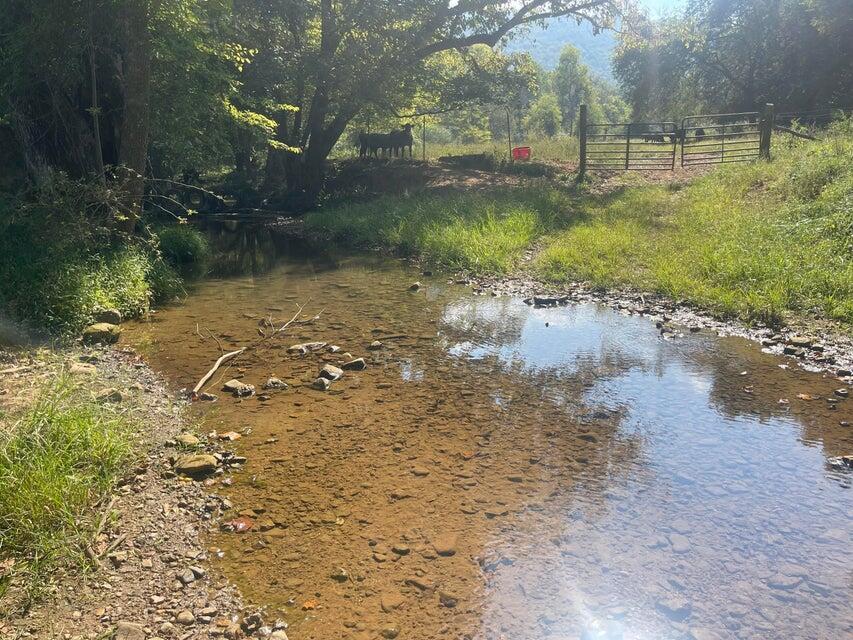 12 Upper East Valley Road Pikeville, TN 37367 - Photo 6 of 7 east valley 7