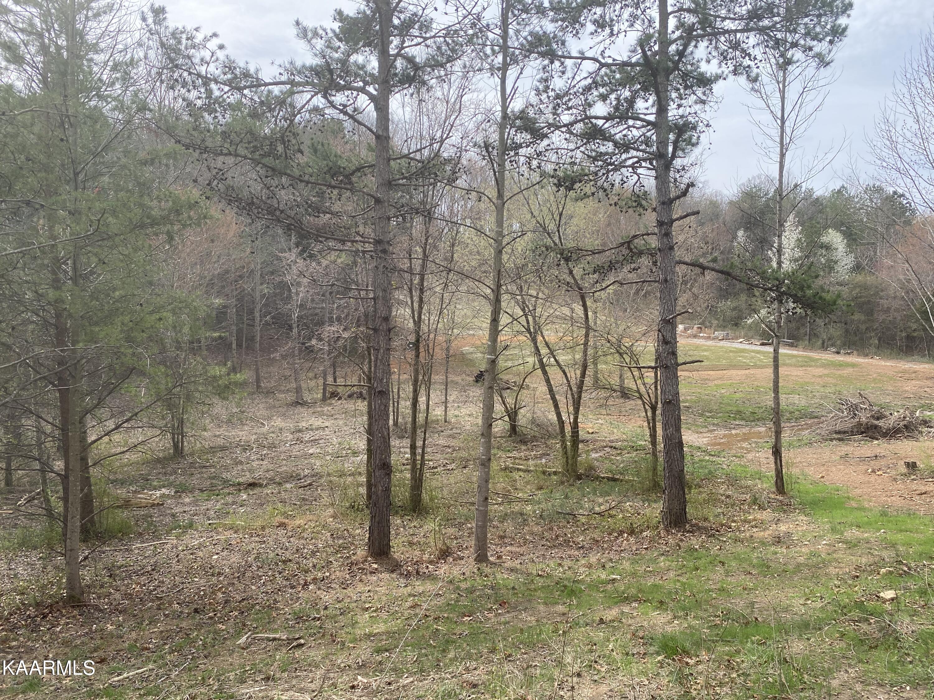 3510 Maple Hill Road Loudon, TN 37774 - Photo 1 of 10 IMG_6033