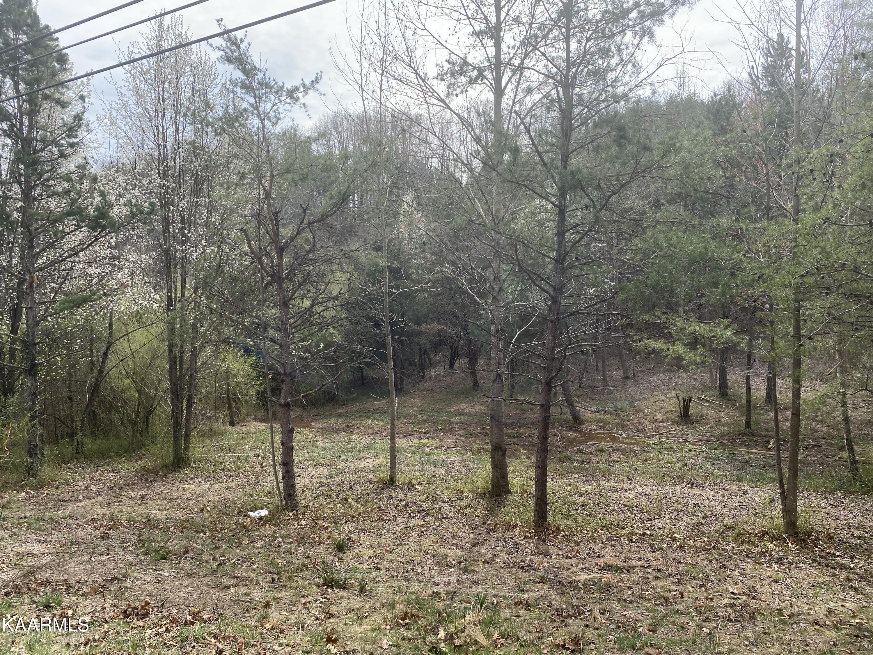 3510 Maple Hill Road Loudon, TN 37774 - Photo 3 of 10 IMG_6034