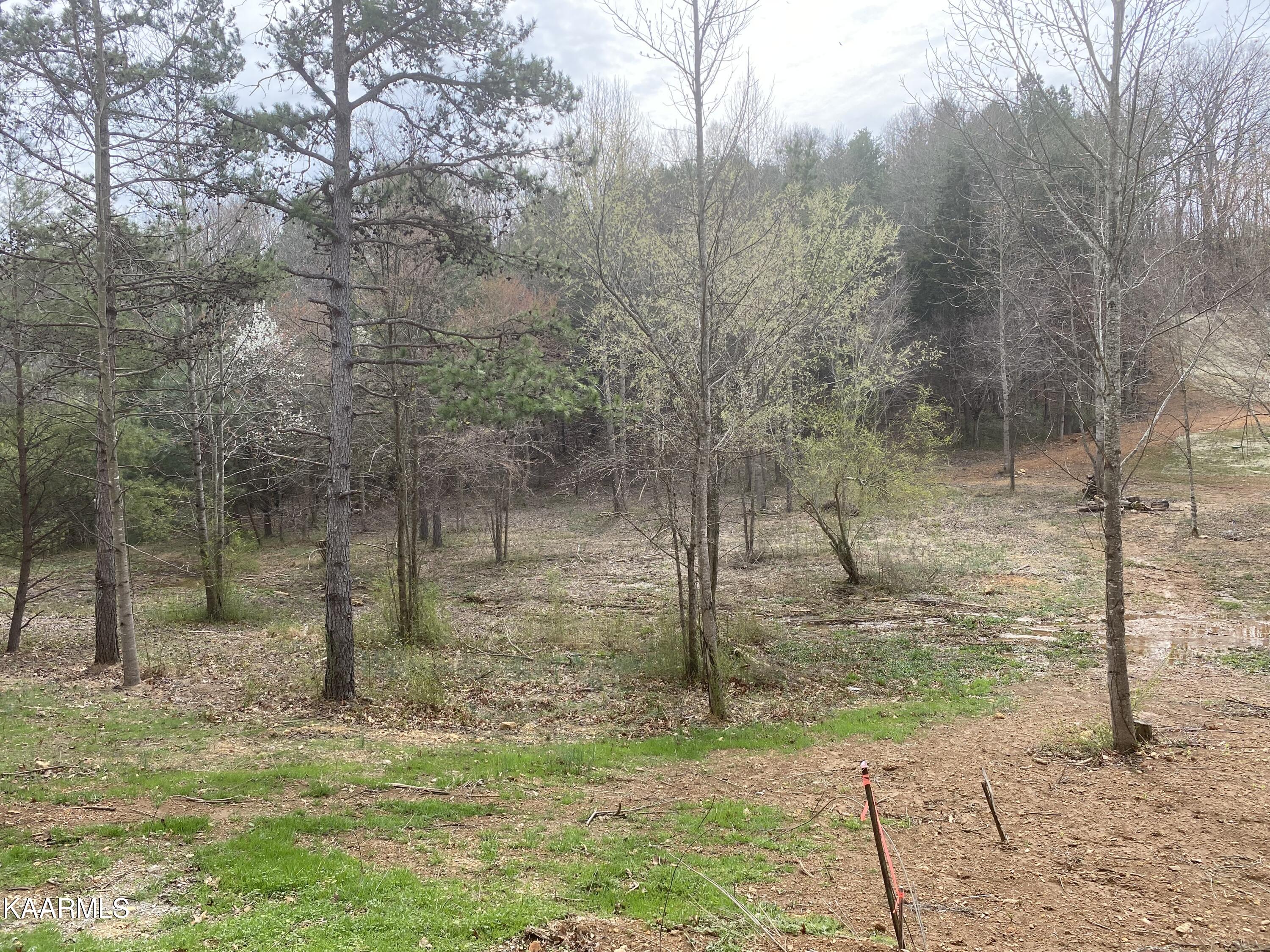 3510 Maple Hill Road Loudon, TN 37774 - Photo 6 of 10 IMG_6029