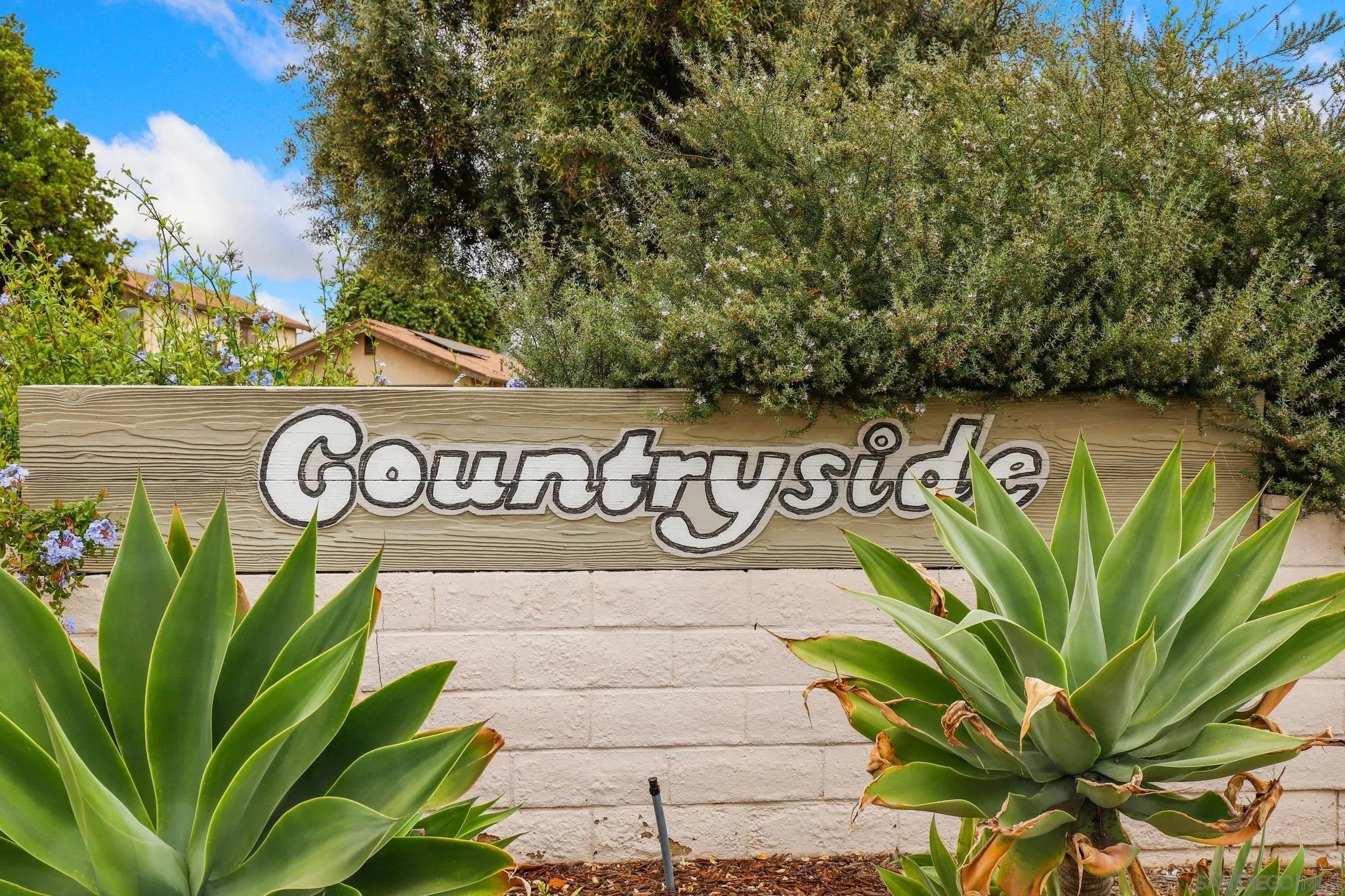 10314 Rochelle Avenue Santee, CA 92071 - Photo 21 of 25 a close up of a plant