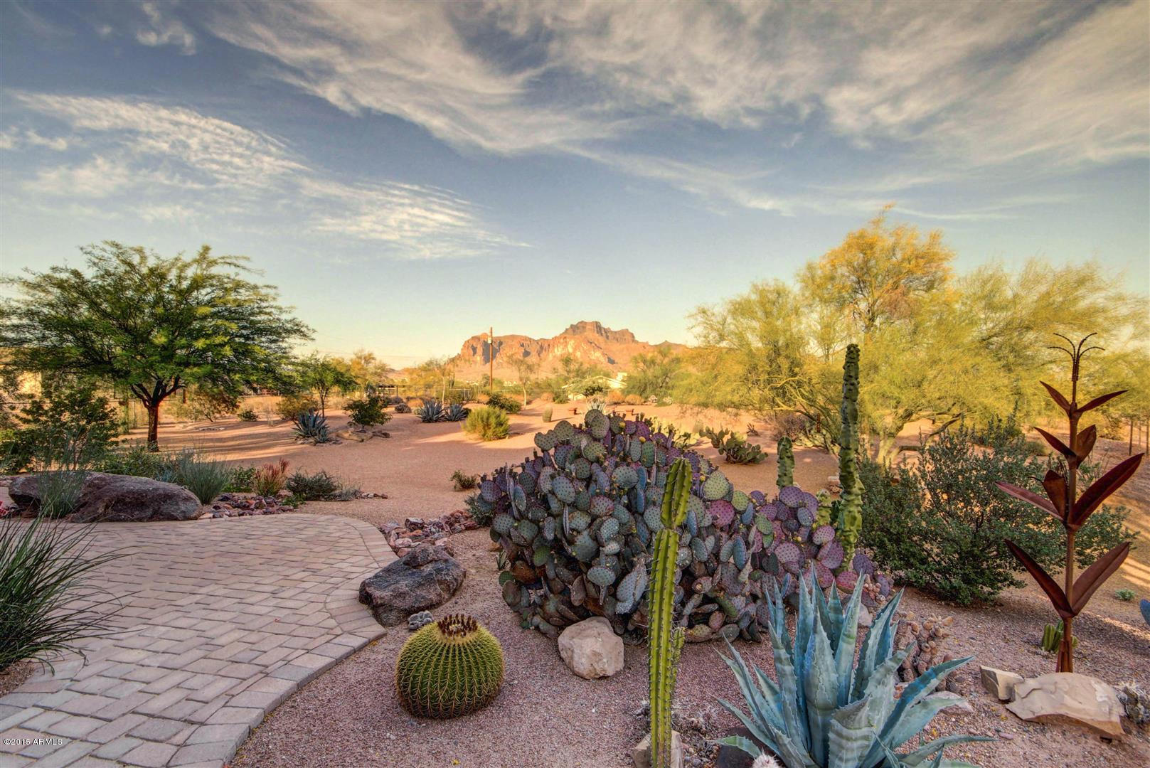 975 North Vista Road Apache Junction, AZ 85119 - Photo 21 of 29 Backyard