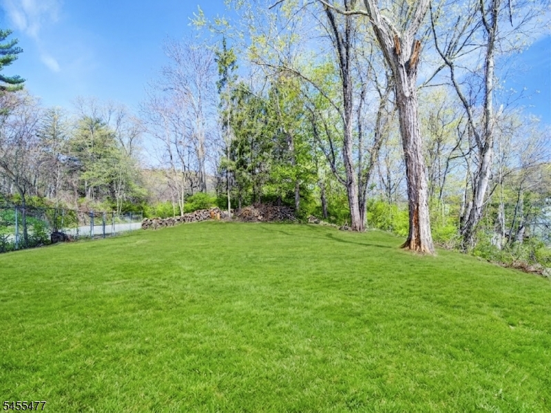 4 Emmans Road Ledgewood, NJ 07852 - Photo 17 of 23 Gallery Image 17