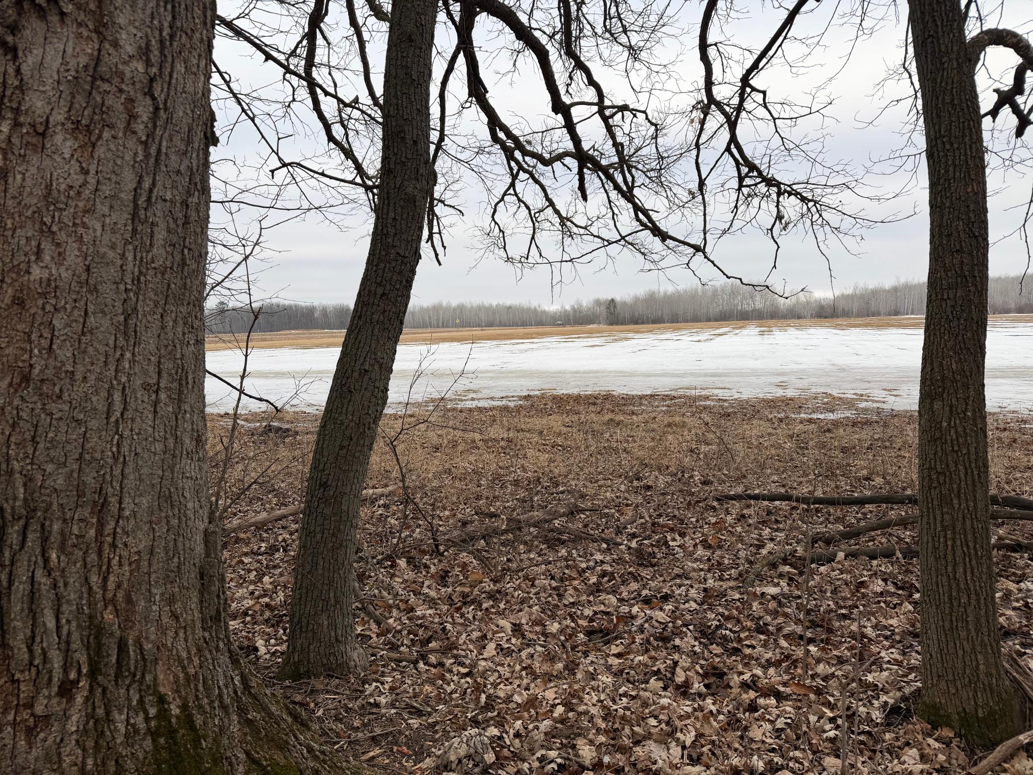 Tbd-b 180th Street Milaca, MN 56353 - Photo 31 of 80