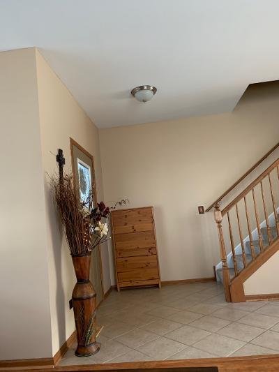 25227 Spring Street Manhattan, IL 60442 - Photo 7 of 34