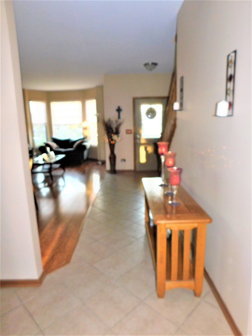 25227 Spring Street Manhattan, IL 60442 - Photo 8 of 34