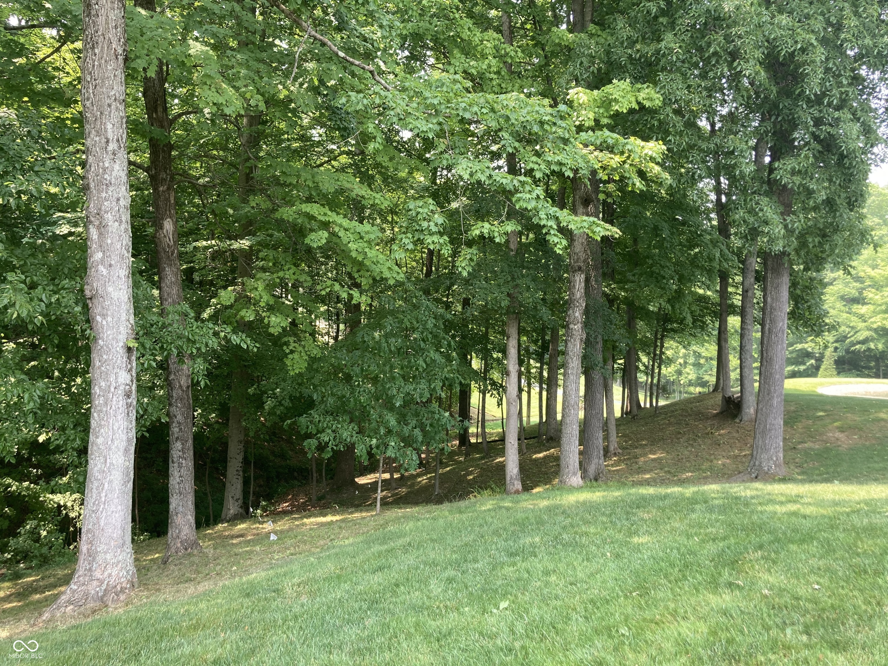 13715 North Delaware Road Batesville, IN 47006 - Photo 54 of 54 Gallery Image 54
