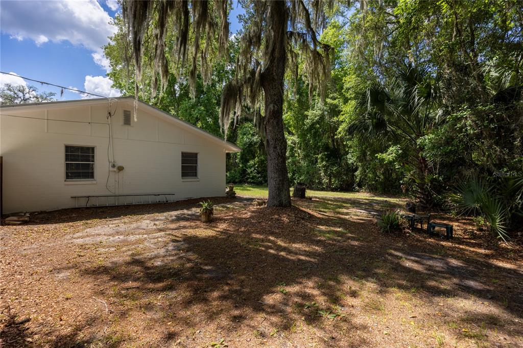 113 Browns Road San Mateo, FL 32187 - Photo 34 of 36 a view of a backyard with large trees
