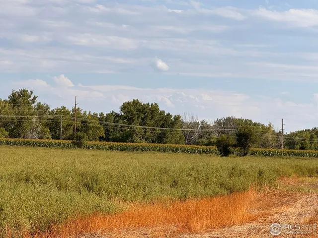 a view of a lake and mountain in the back