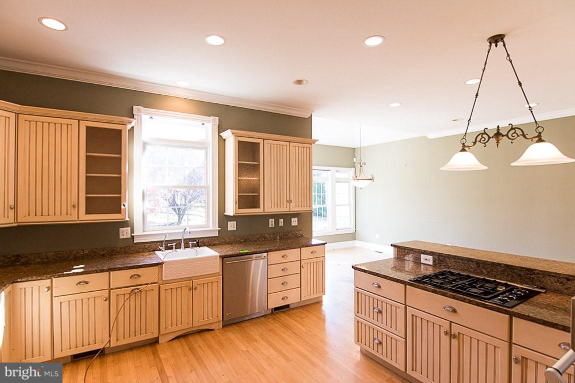 11805 Frederick Road Ellicott City, MD 21042 - Photo 13 of 22 Kitchen