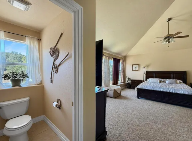 a living room with furniture and a toilet