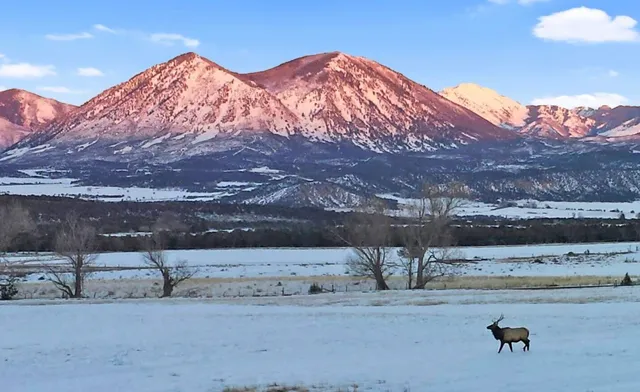 a view of a dry yard with mountain