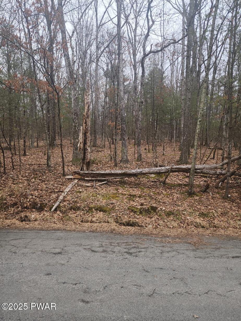 341 Timber Ridge Drive Hawley, PA 18428 - Photo 2 of 4 Lot 341 Timber Ridge