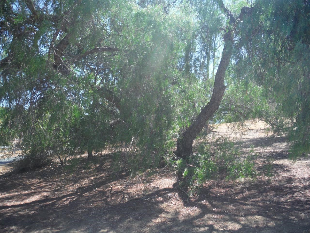 V-lot Quail Knoll Road Fallbrook, CA 92028 - Photo 12 of 15