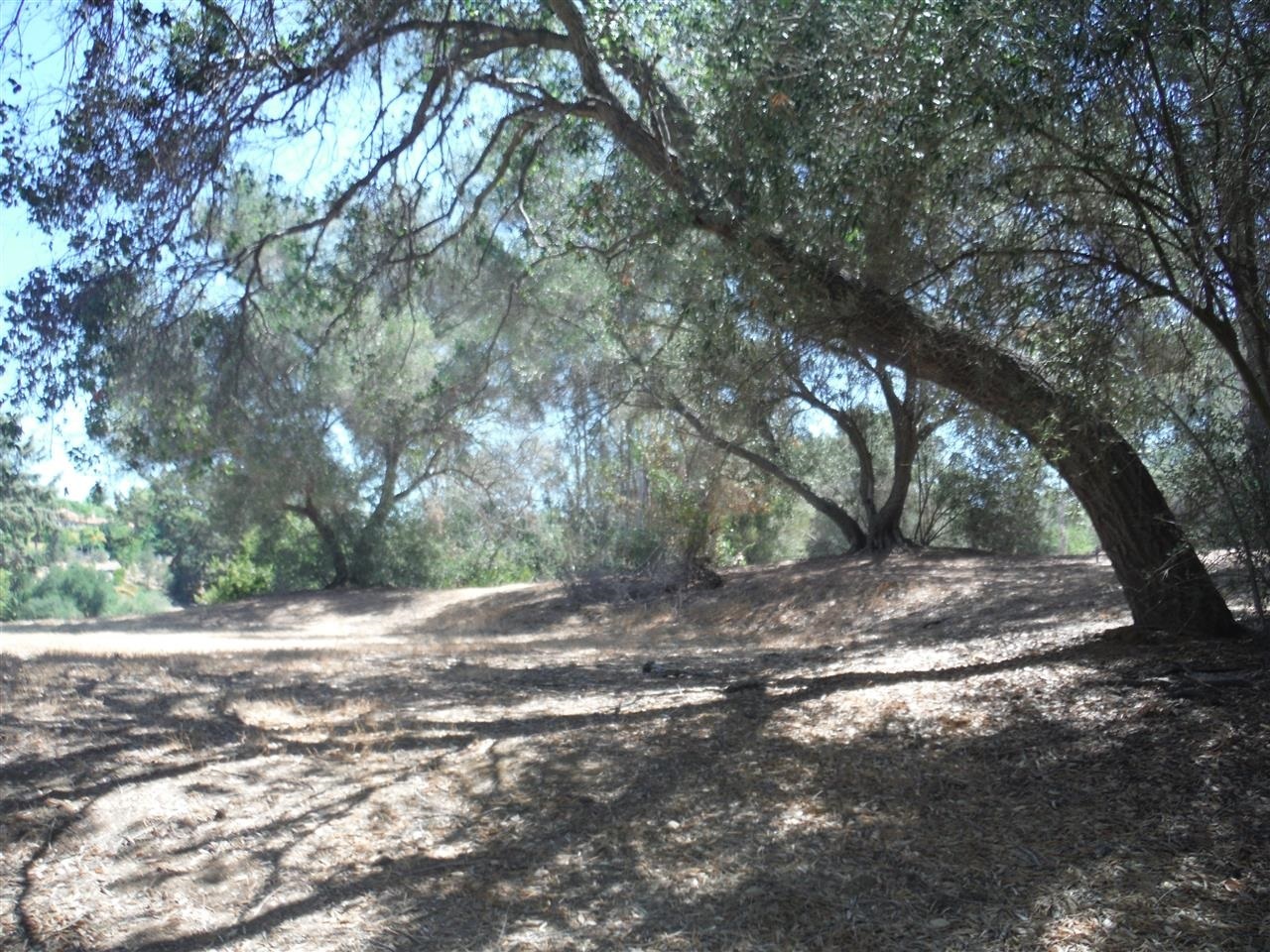 V-lot Quail Knoll Road Fallbrook, CA 92028 - Photo 13 of 15