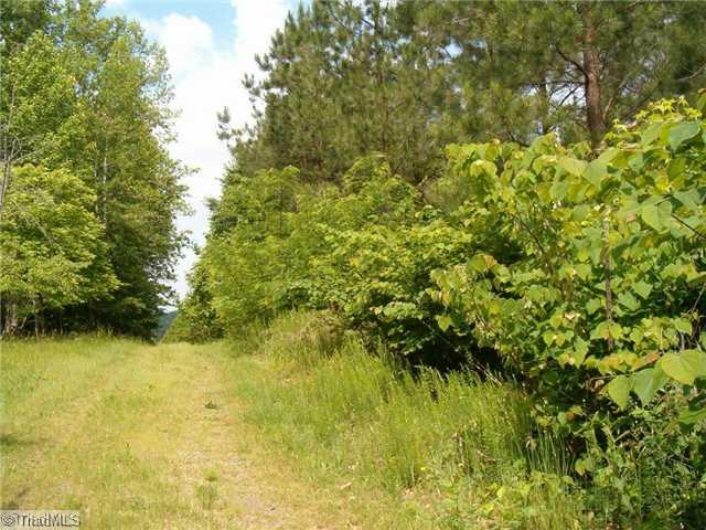 0 Miles Moffitt Road Asheboro, NC 27205 - Photo 2 of 2 Land/Lot.
