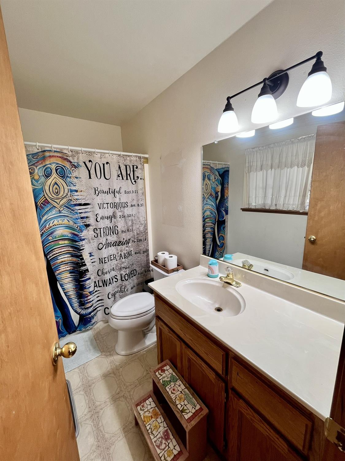 5635 Azalea Circle Pollock Pines, CA 95726 - Photo 8 of 20 Main Bathroom