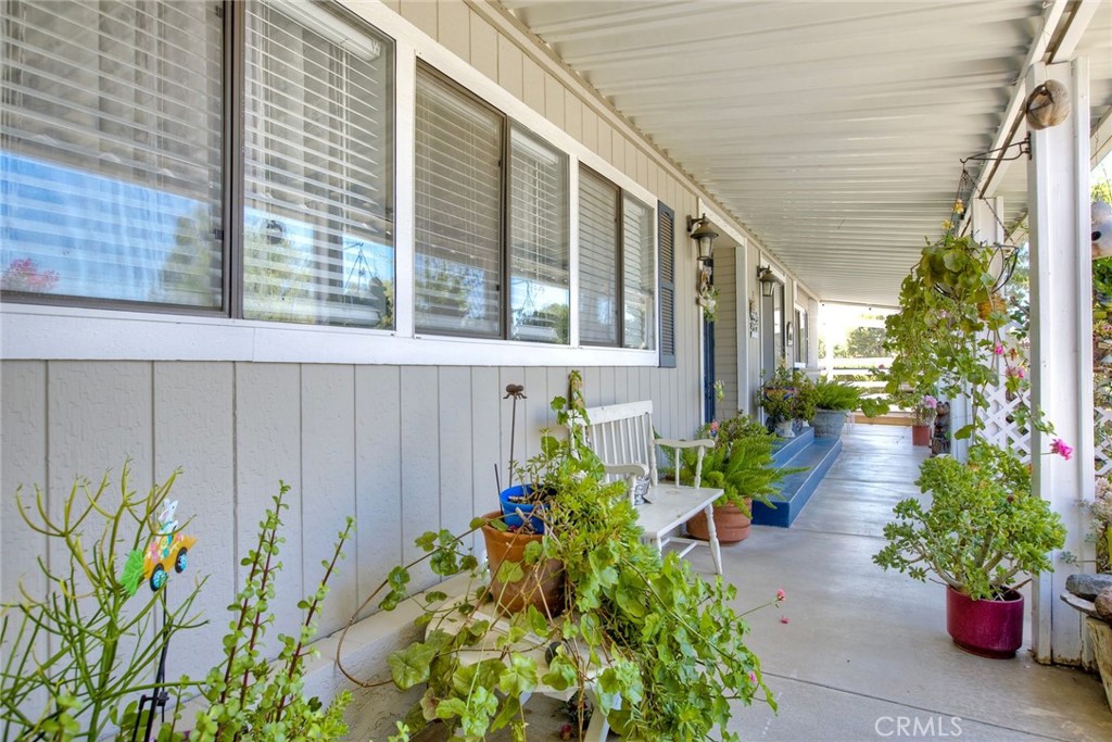 34370 The Farm Road Wildomar, CA 92595 - Photo 4 of 31 a view of a backyard with plants