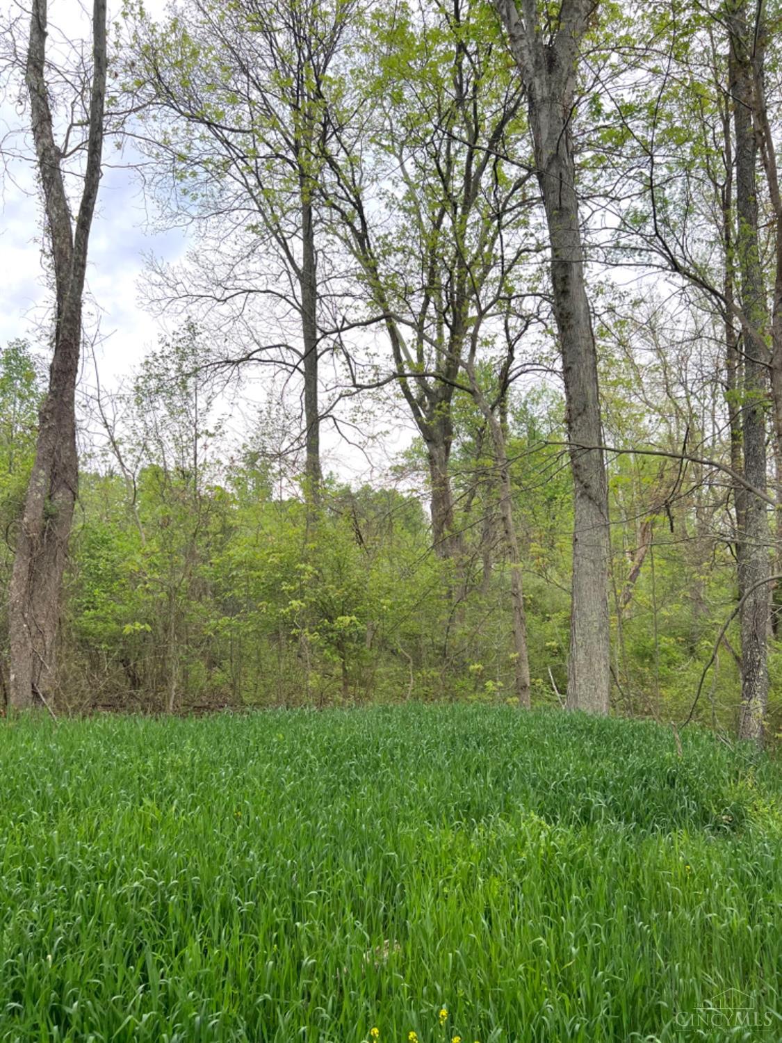 0 Spohn Road Jackson, OH 45640 - Photo 57 of 76